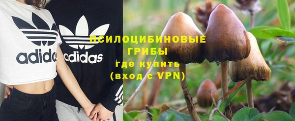 каннабис Покачи