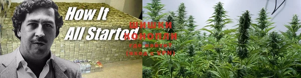 ПСИЛОЦИБИНОВЫЕ ГРИБЫ Новодвинск