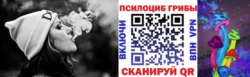 Галлюциногенные грибы мицелий  Сельцо 