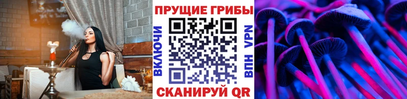Галлюциногенные грибы прущие грибы Сельцо